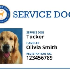 רישיון כלב שירות + כרטיס Id